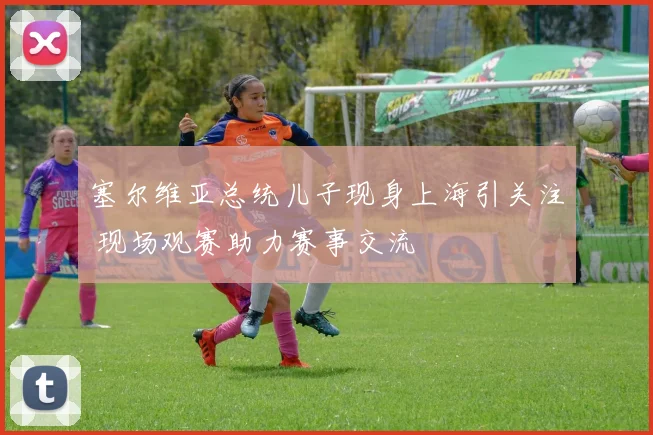 塞尔维亚总统儿子现身上海引关注 现场观赛助力赛事交流